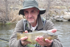 Bello Ejemplar del Segre-min