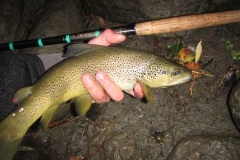 Captura con Técnica de Tenkara-min